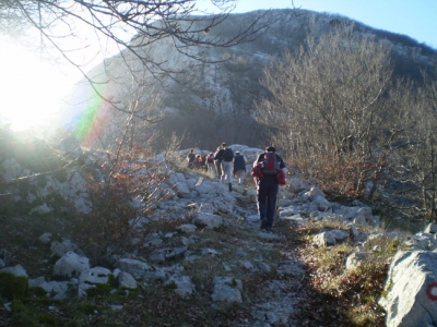 orjen 20 20140525 1853450553