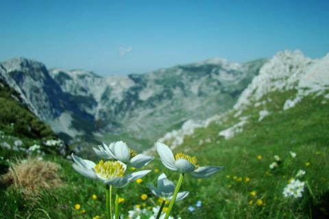 320390_4254284566090_1869091516_n