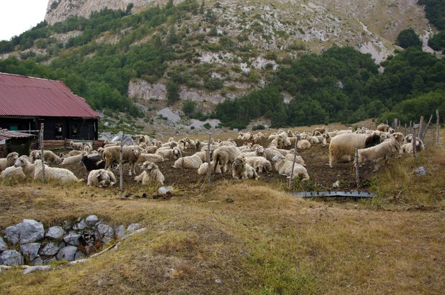 337784_496445783716062_2142521911_o