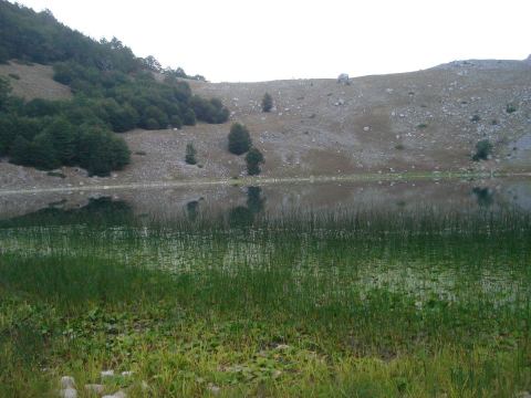 529973_438765689497314_1710019433_n