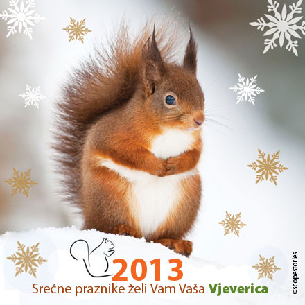 vjeverica-cestitka-2013