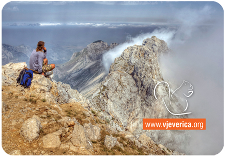 kalendarcic-2013-stampa