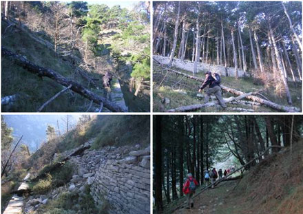 zateceno-stanje-staze